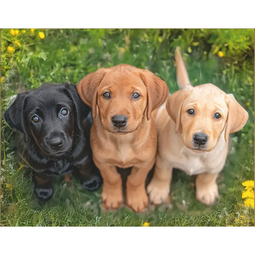 Dijamantski mozaik Tri pogleda, 40х50 cm