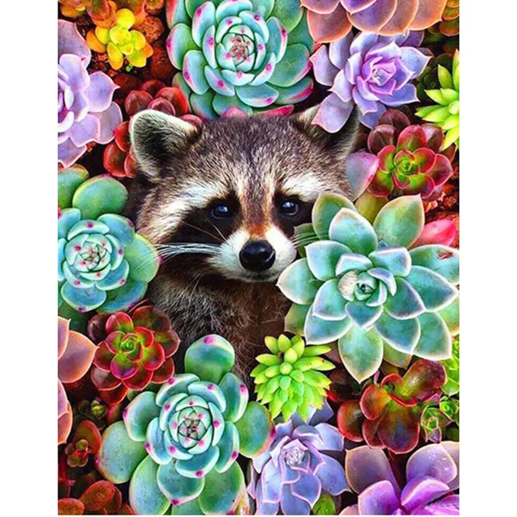 Dijamantski mozaik Rakun i sukulenti, 30х40 cm