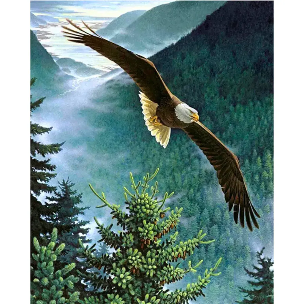 Slika po brojevima Ponosni orao, 40x50 cm
