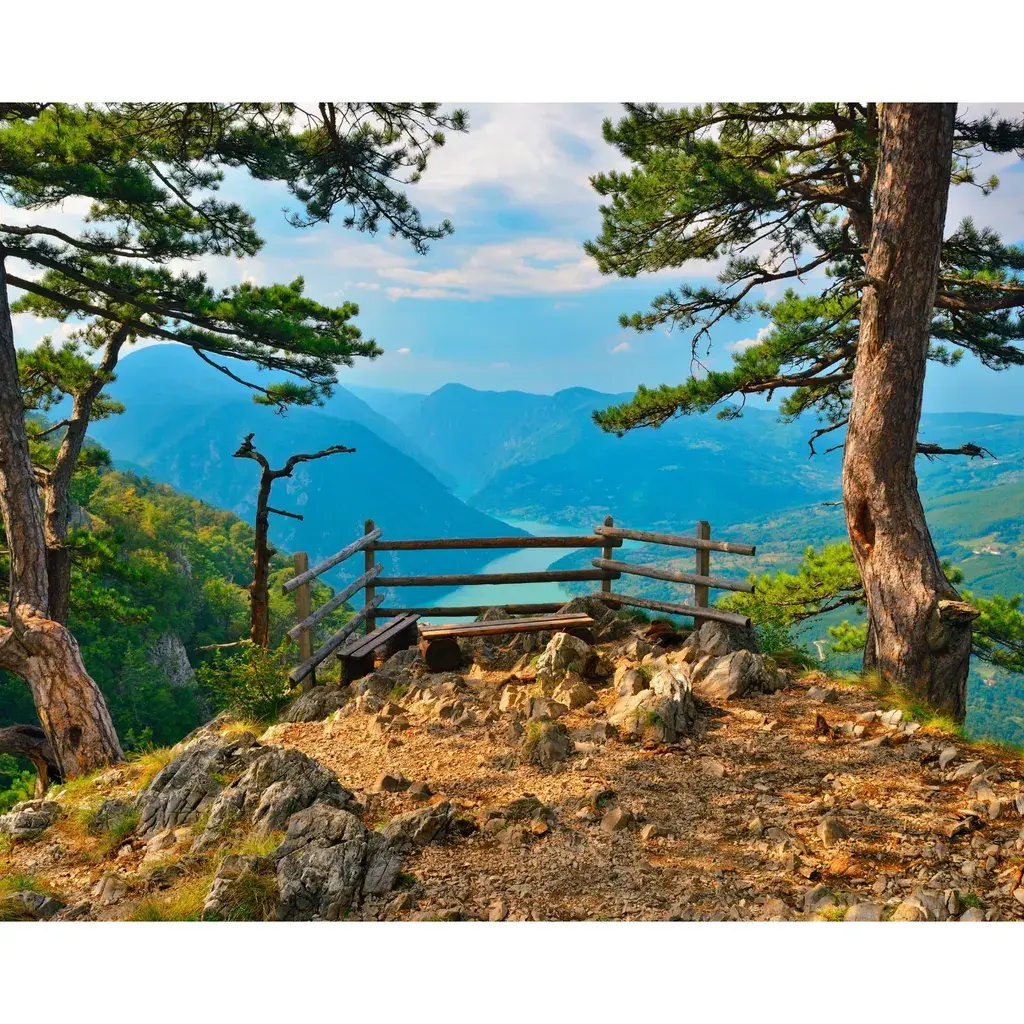 Slika po brojevima Tara - Banjska Stena, 40x50 cm