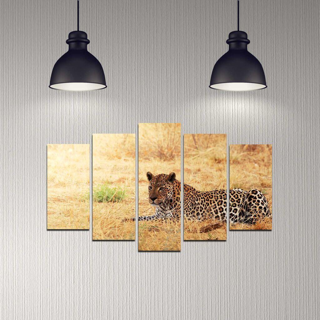 Wallity Set Slika 5DMDF-38, 5 Delova