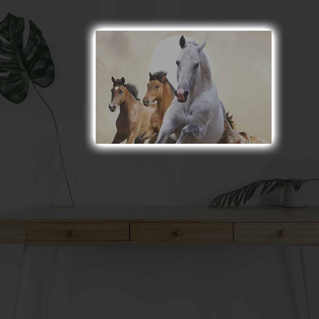 Wallity Slika sa LED osvetljenjem 4570DHDACT-093, 45x70 cm