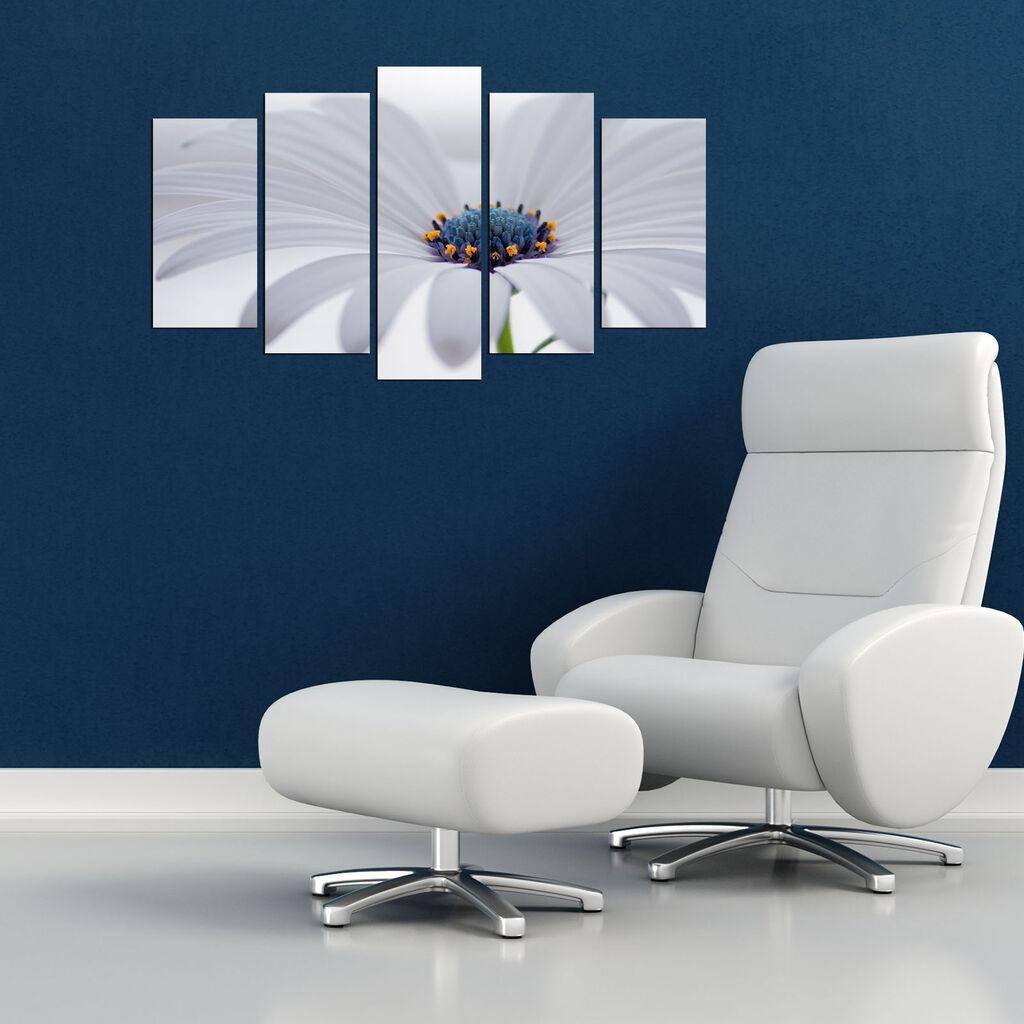 Wallity Set Slika 5MX-62, 5 Delova