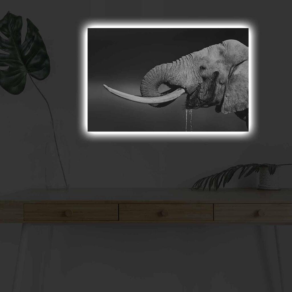 Wallity Slika sa LED osvetljenjem 4570DHDACT-165, 45x70 cm