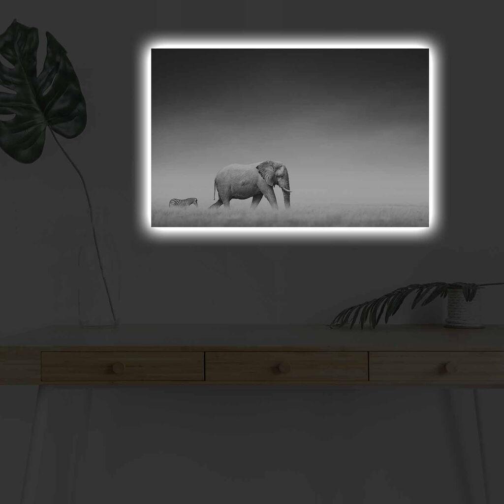 Wallity Slika sa LED osvetljenjem 4570DHDACT-099, 45x70 cm