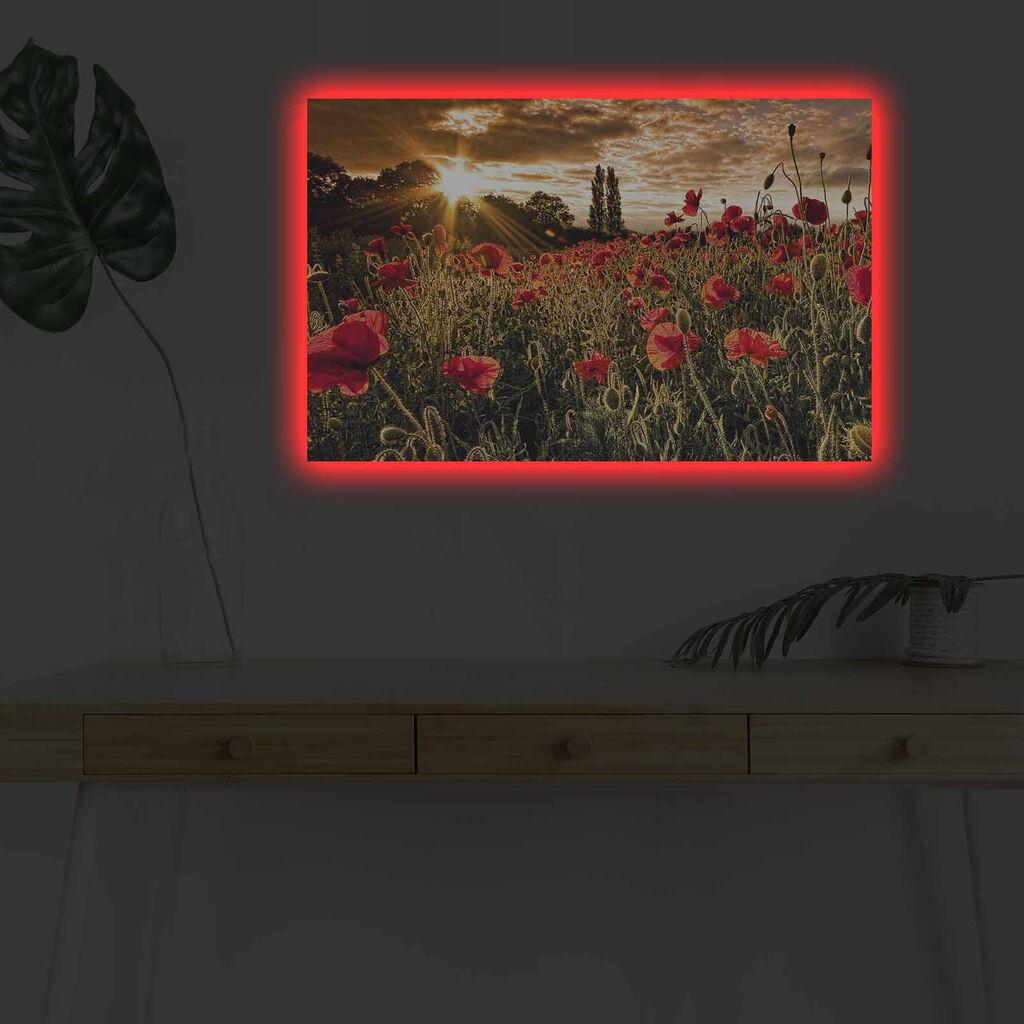 Wallity Slika sa LED osvetljenjem 4570DHDACT-083, 45x70 cm
