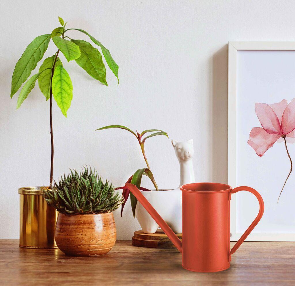 Aberto Design Kantica za zalivanje cveca SLK0007, 1.5l, 11x11x17cm, Crvena