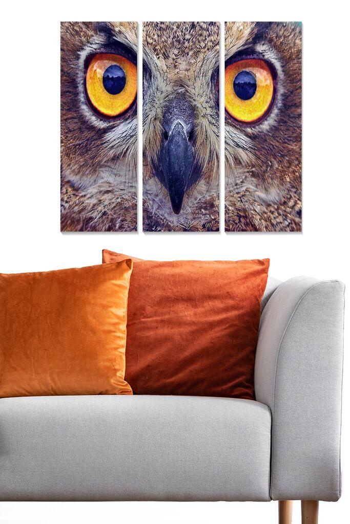 Wallity Set slika MDF2361801, 3 Dela