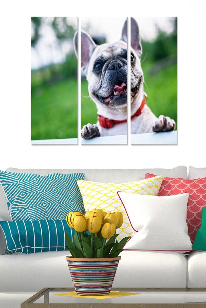 Wallity Set slika MDF1482630, 3 Dela