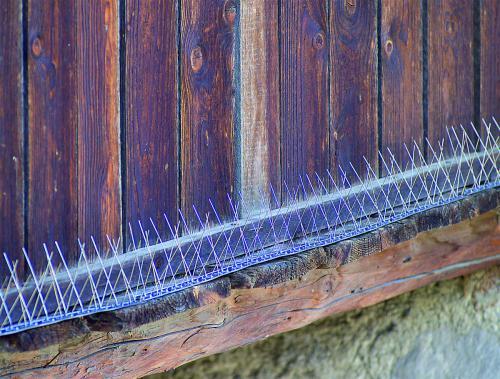 Stocker Mreža za odbijanje ptica A44108, 0.5m