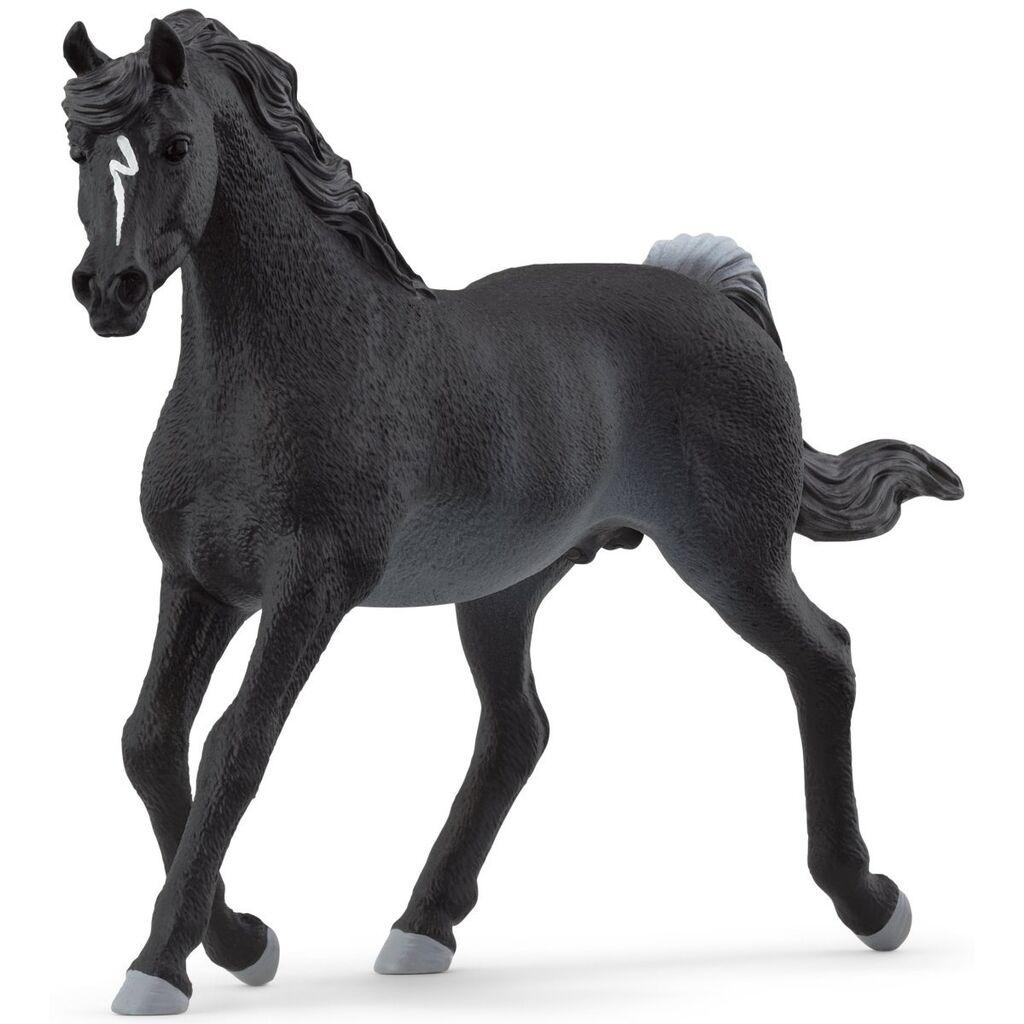 Schleich Pastuv Arabian, Crni