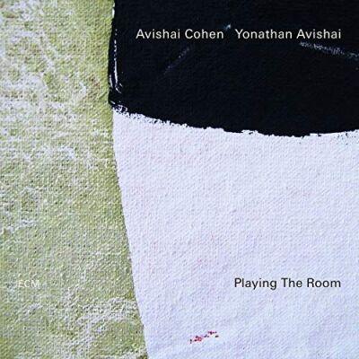 Avishai Cohen, Yonathan Avishai - Playing the Room