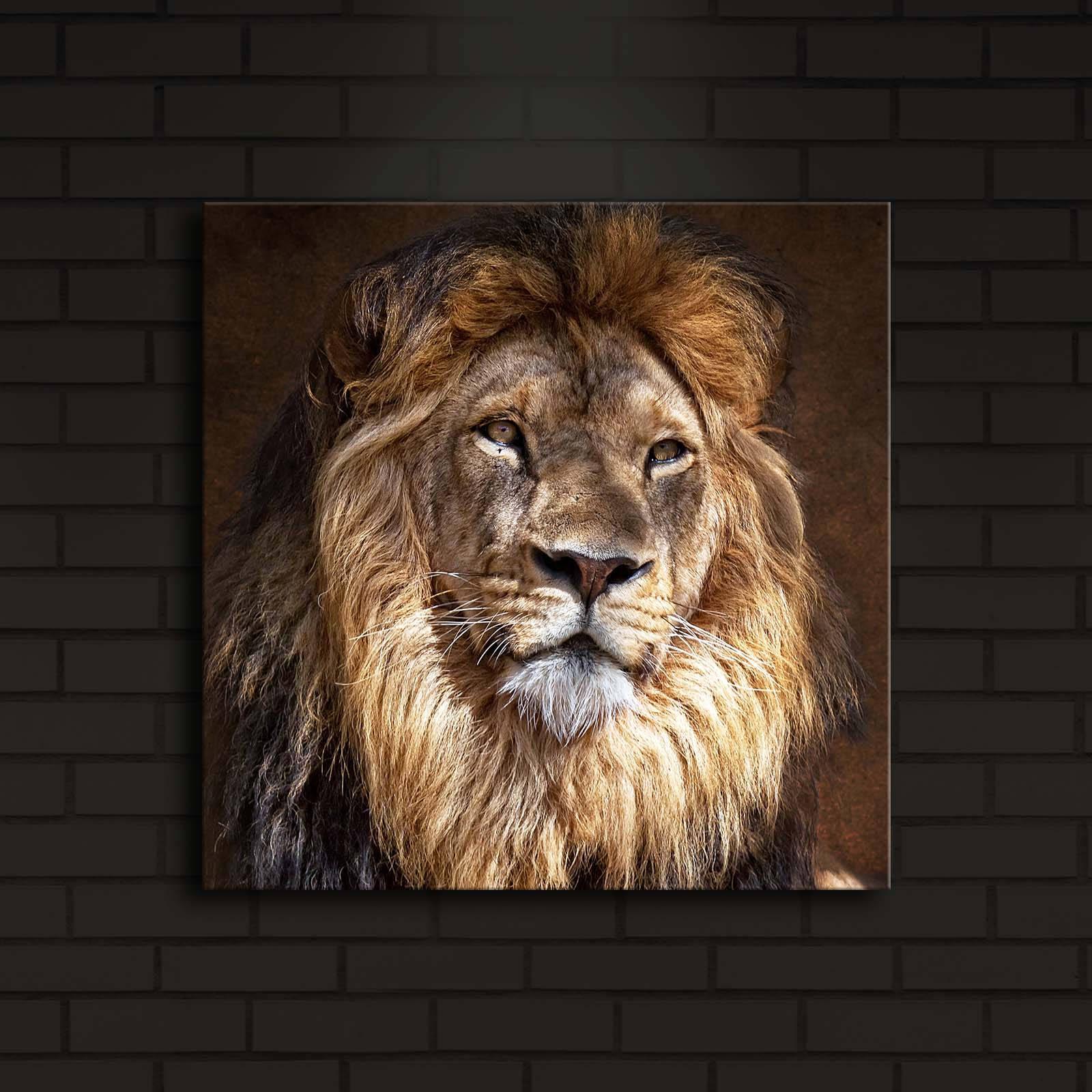 Wallity Slika na platnu sa LED osvetljenjem 40x40cm