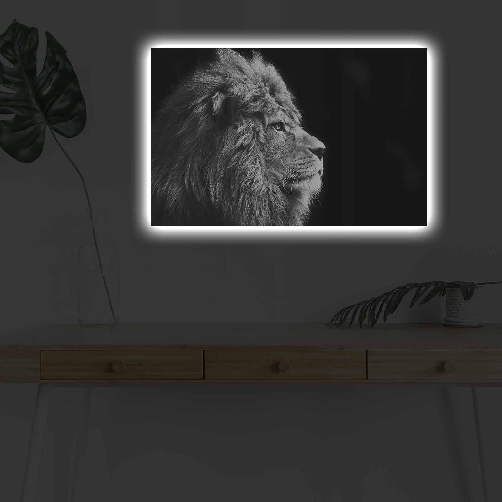 Wallity Slika na platnu sa LED osvetljenjem 45x70cm
