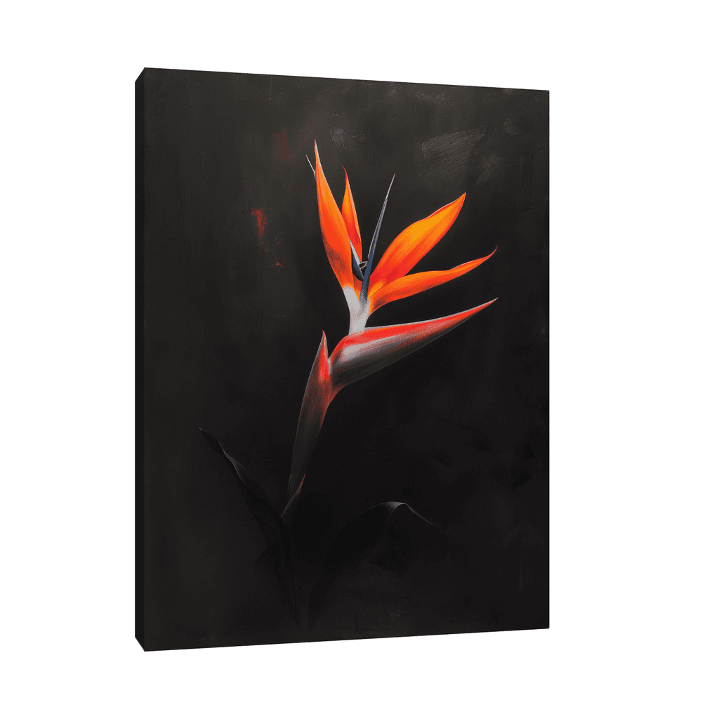 Canvas Slika na platnu Strelitzia na crnoj pozadini, Bez rama, 75x100cm