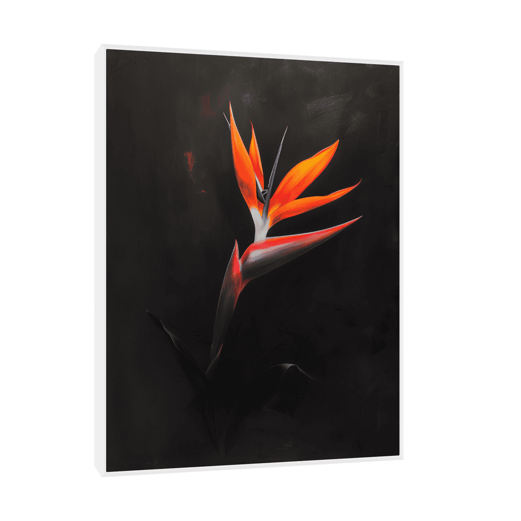 Canvas Slika na platnu Strelitzia na crnoj pozadini 75x100cm, Sa ramom, Beli