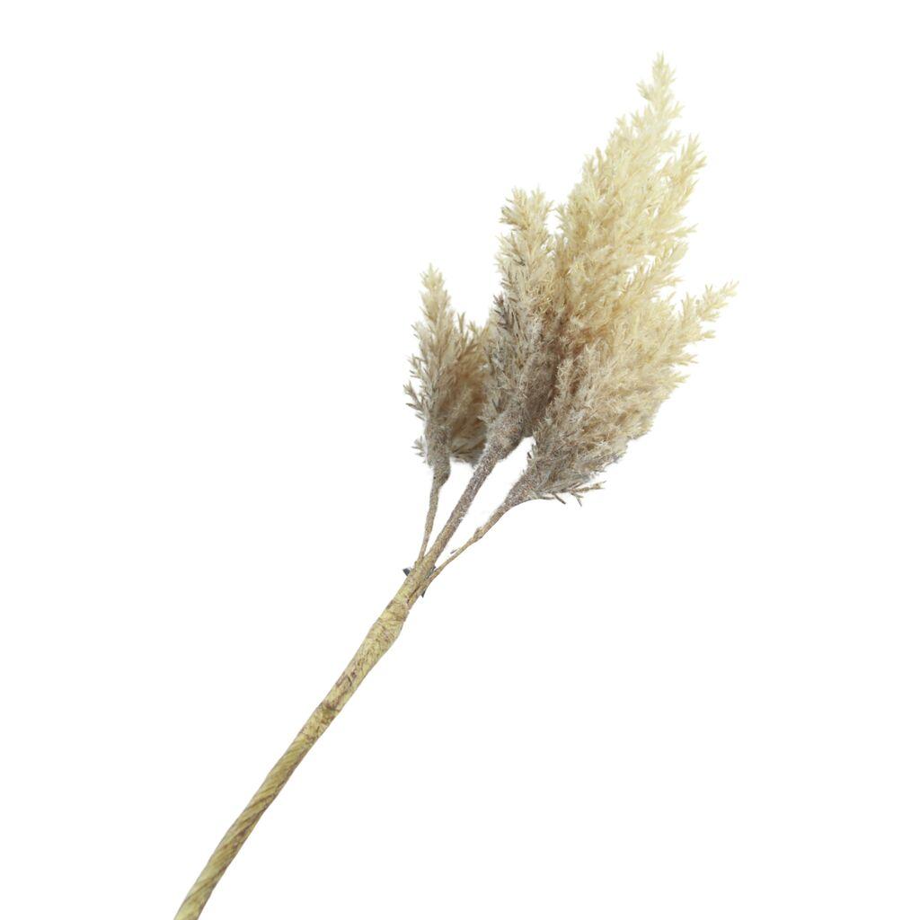 DekorDom Veštačko cveće Astilbe 779824, 81 cm