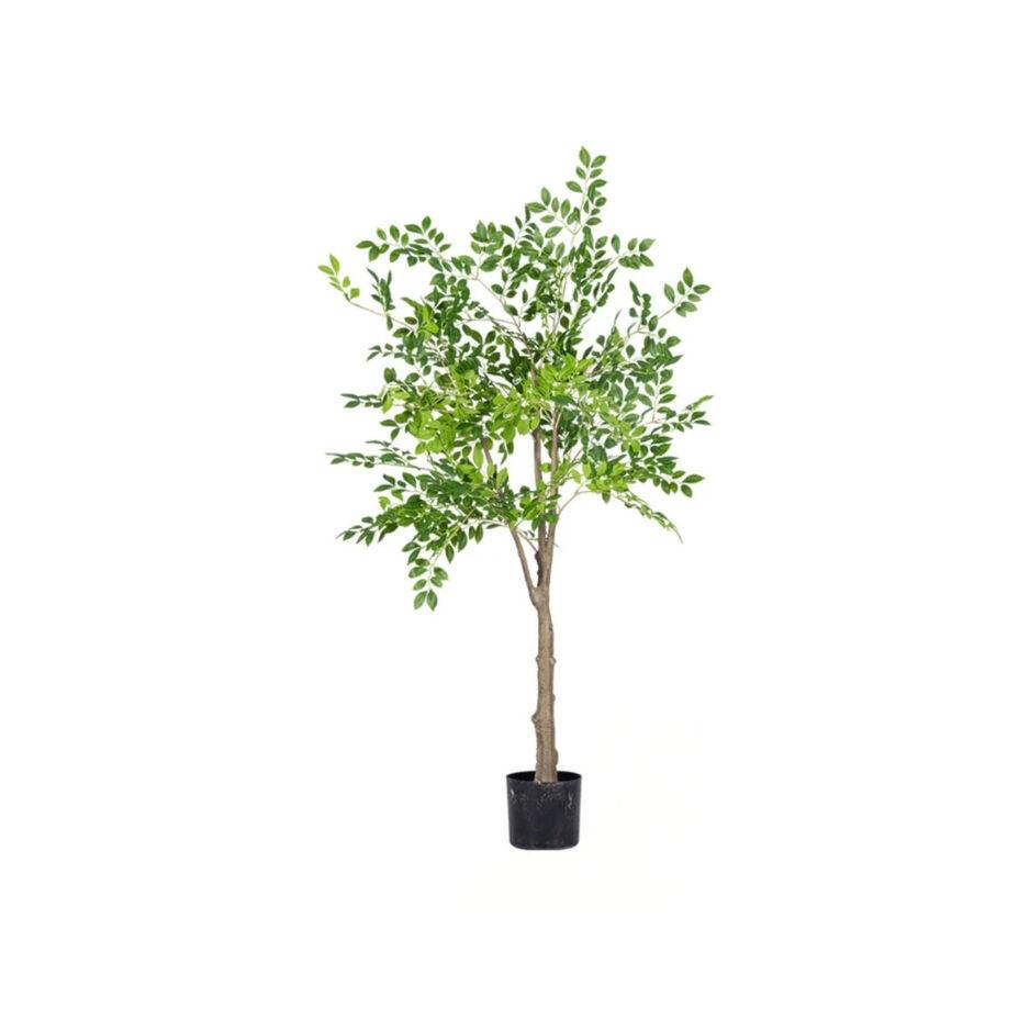 DekorDom Dekorativna biljka u saksiji Money Tree, 150 cm