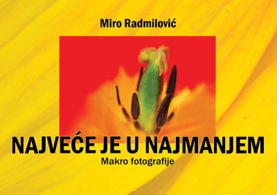 Najveće je u najmanjem