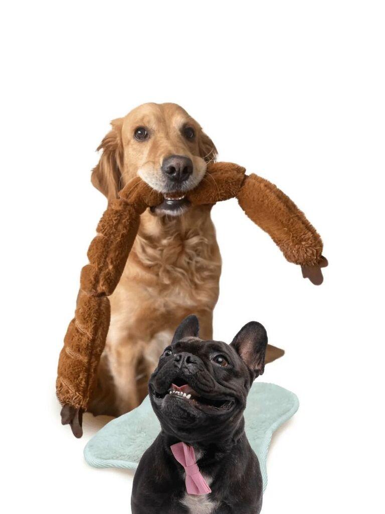 Paws & Whiskers Igračka za pse Havhav 1013, Braon