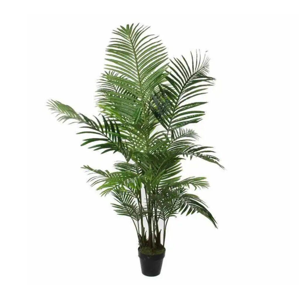 DekorDom Dekorativna biljka u saksiji Areca Palm 1026427, 160 cm