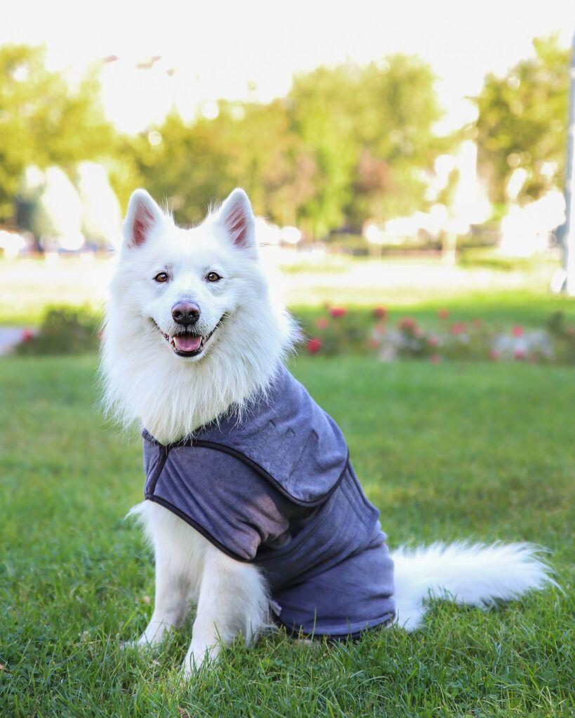 Paws & Whiskers Ogrtač za pse Drygown, Sivi