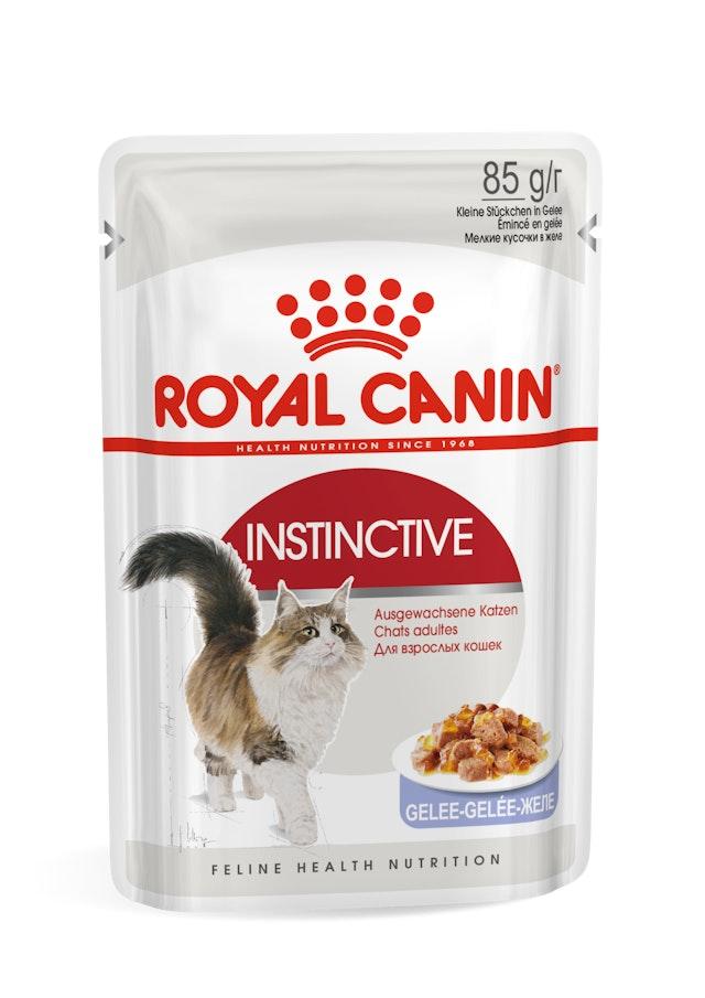 ROYAL CANIN Vlažna hrana za odrasle mačke Instinctive in Jelly 12x85g