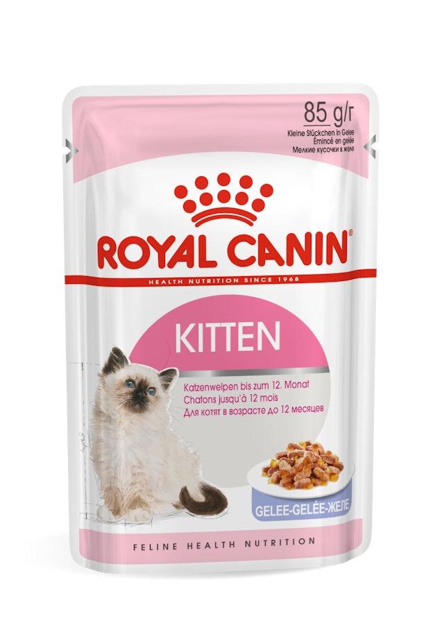 ROYAL CANIN Vlažna hrana za mačiće Kitten in Jelly 12x85g