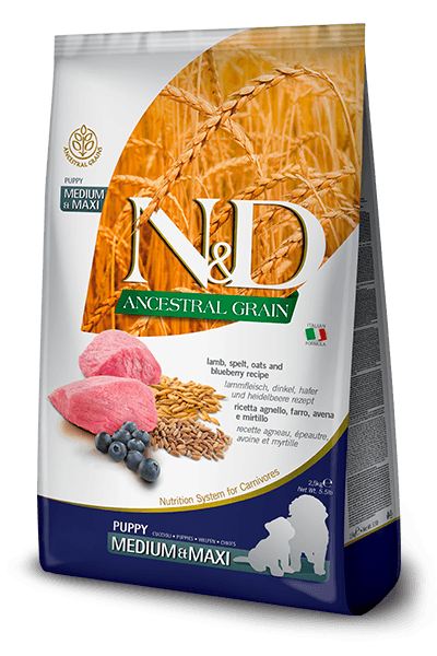 N&D Ancestral Grain Medium&Maki Puppi 12kg. - јagnjetina, pira, ovas i borovnice