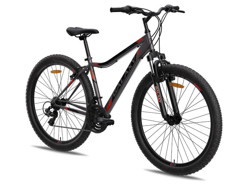 Galaxy Muški bicikl Festina FS 29"/21, Sivi