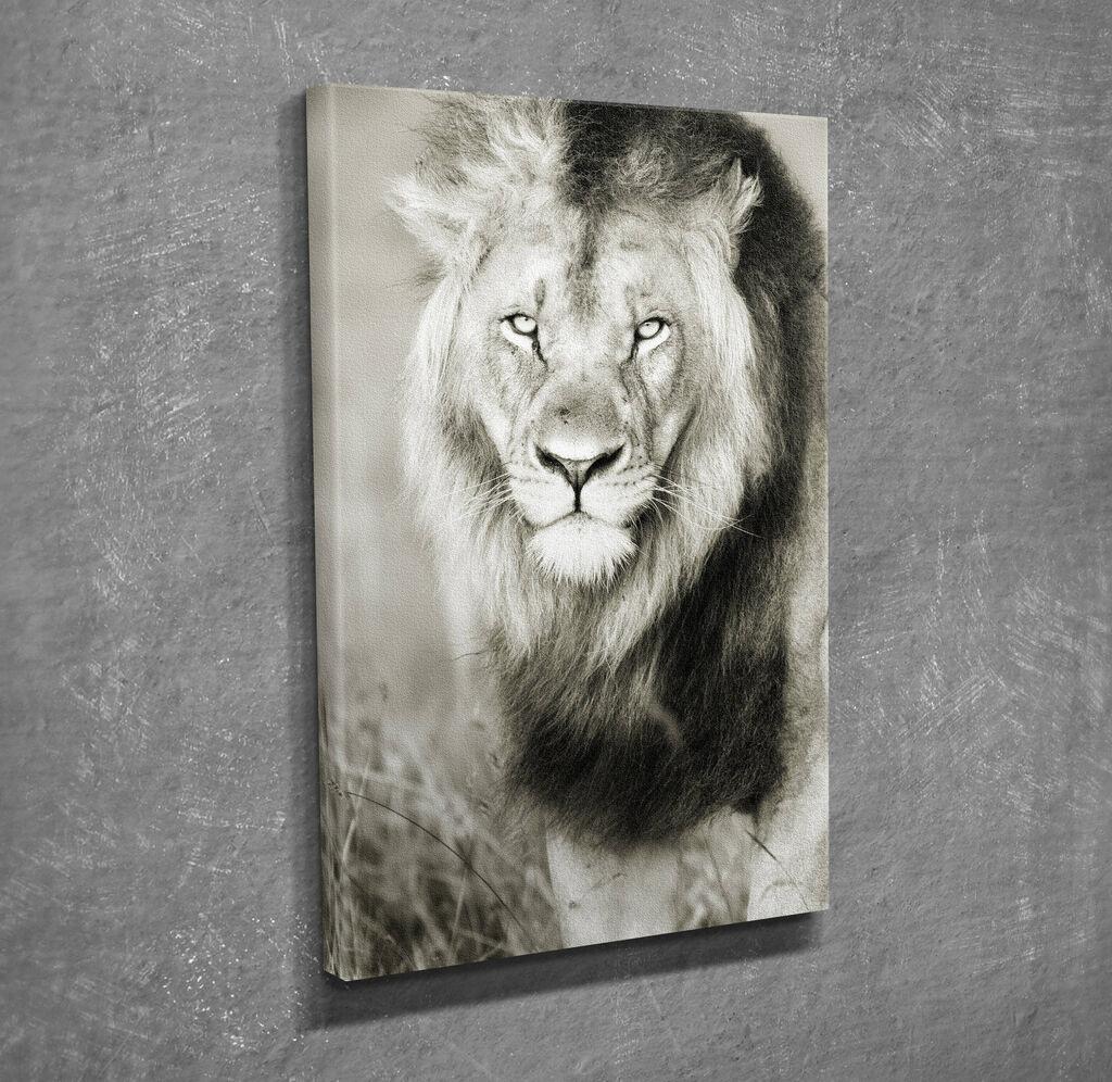 Wallity Dekorativna slika na platnu, 30x40cm, Šarena