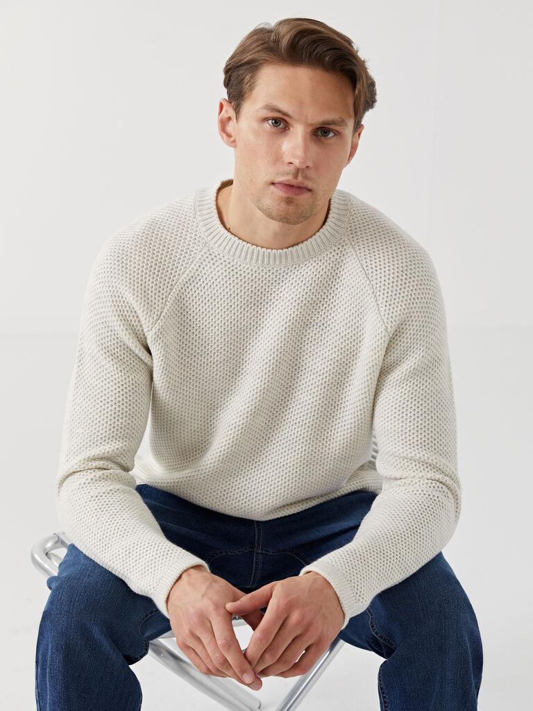 LC Waikiki Muški džemper W4ED60Z8-MXN, Bež