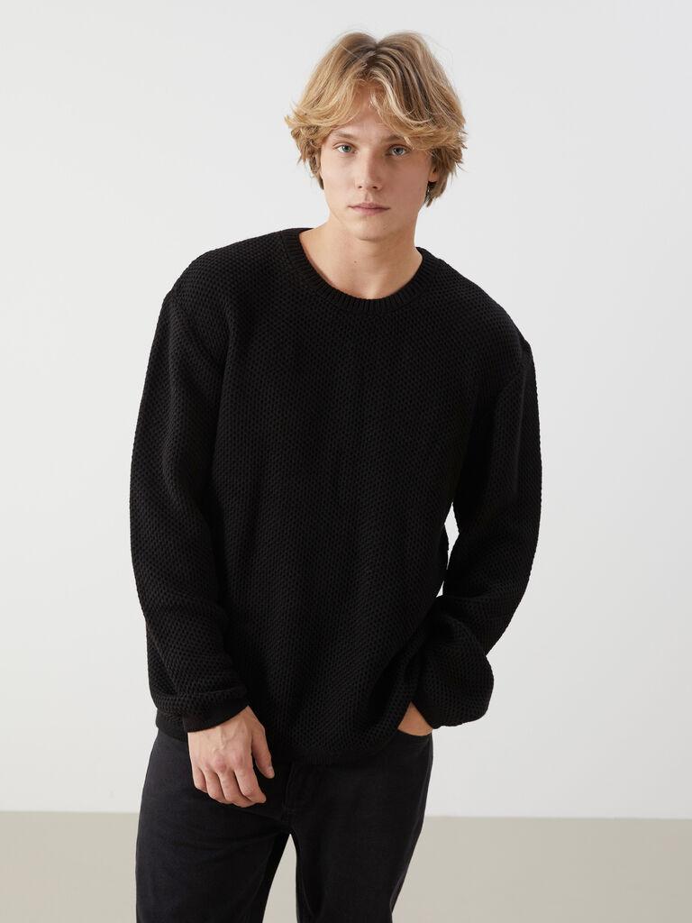 LC Waikiki Muški džemper W4EE93Z8-CVL, Crni