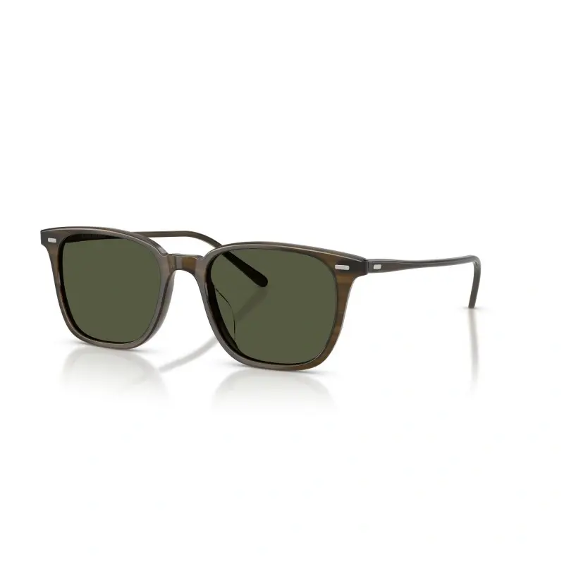 Oliver Peoples Sunčane naočare 0OV5614SU 182152, Smeđe