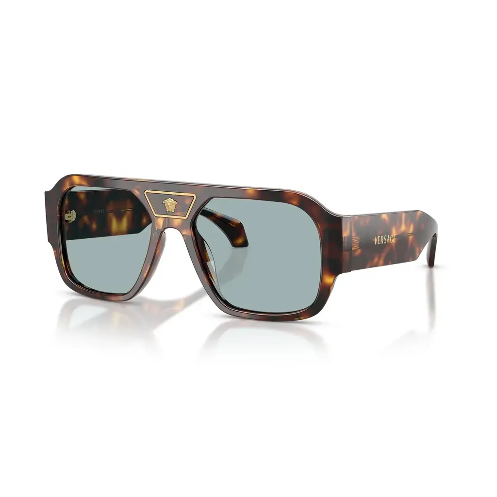 Versace Sunčane naočare 0VE4508U 553780, Smeđe