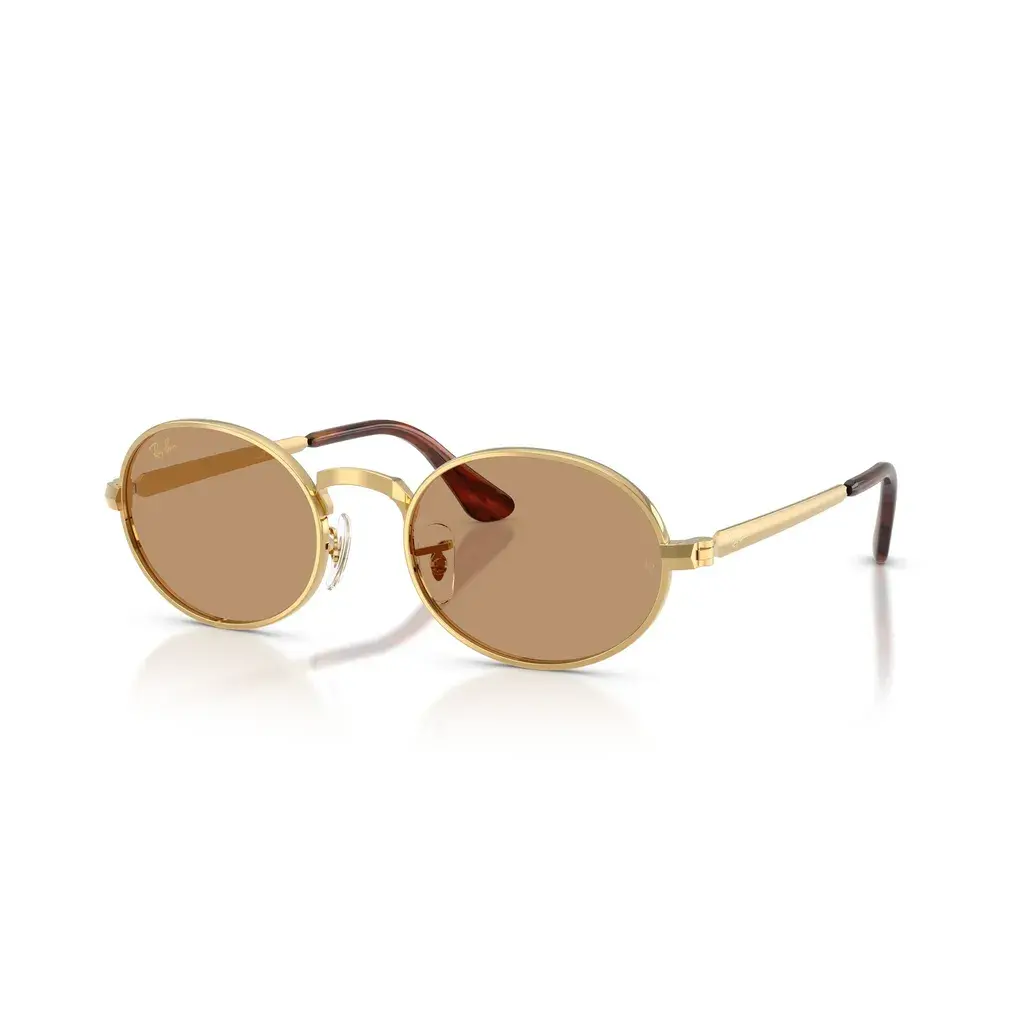Ray-Ban Sunčane naočare by A$AP Rocky 0RB3931 001/53, Četvrtaste, Smeđe