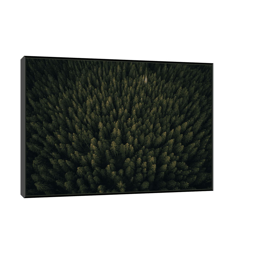 Canvas Slika na platnu Kroz šumu, 45x30cm, Sa ramom, Crni