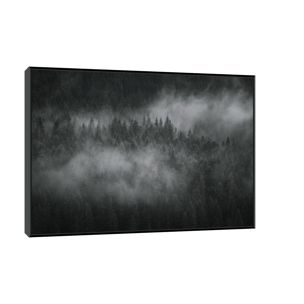 Canvas Slika na platnu Foggy forest II, 75x50cm, Sa ramom, Crni