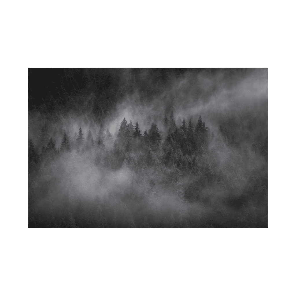 Canvas Slika na platnu Foggy forest, 120x80cm