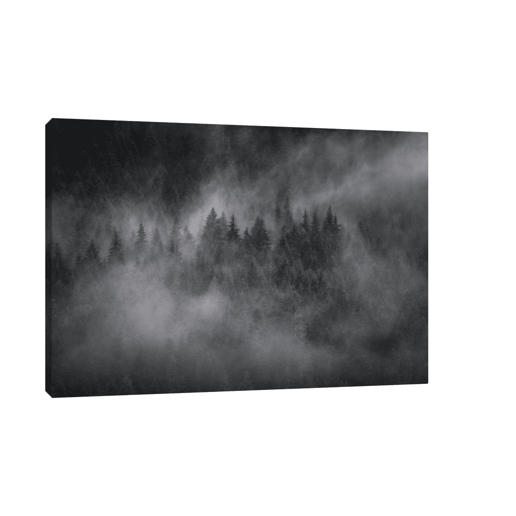 Canvas Slika na platnu Foggy forest, Bez rama, 45x30cm