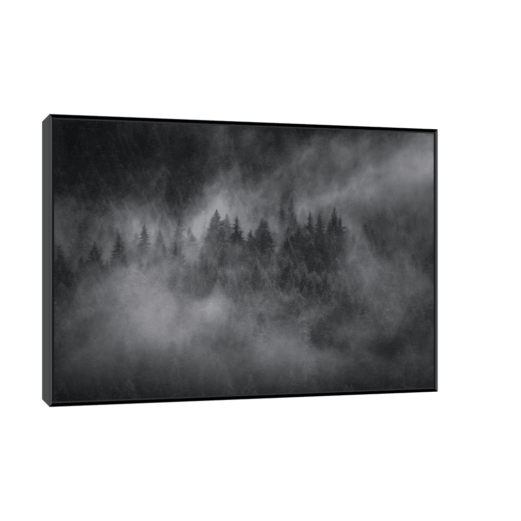 Canvas Slika na platnu Foggy forest, 120x80cm, Sa ramom, Crni