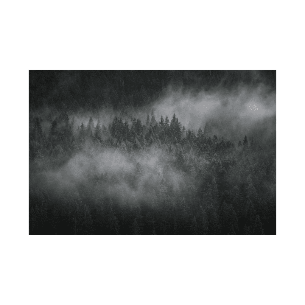 Canvas Slika na platnu Foggy forest II, 120x80cm