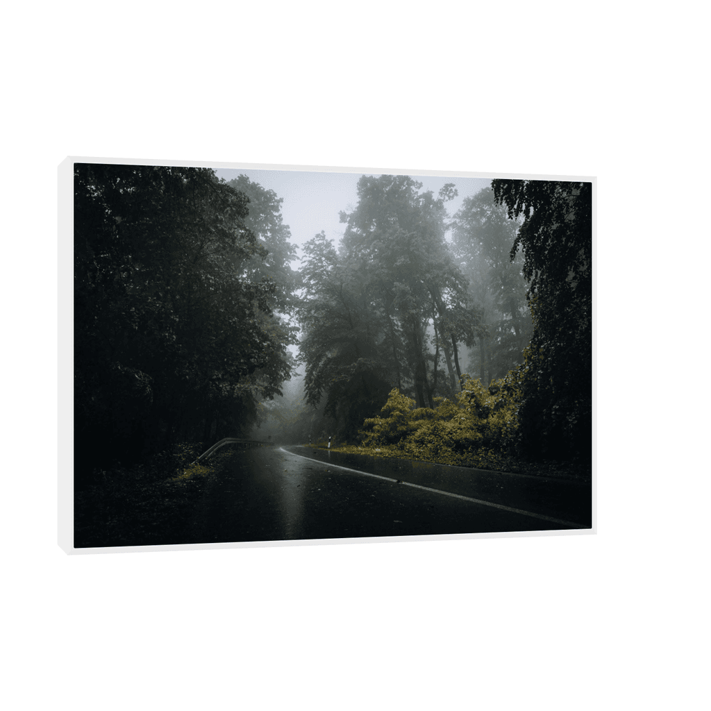 Canvas Slika na platnu Kroz šumu II, 45x30cm, Sa ramom, Beli