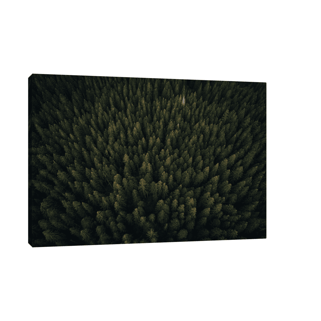 Canvas Slika na platnu Kroz šumu, Bez rama, 45x30cm