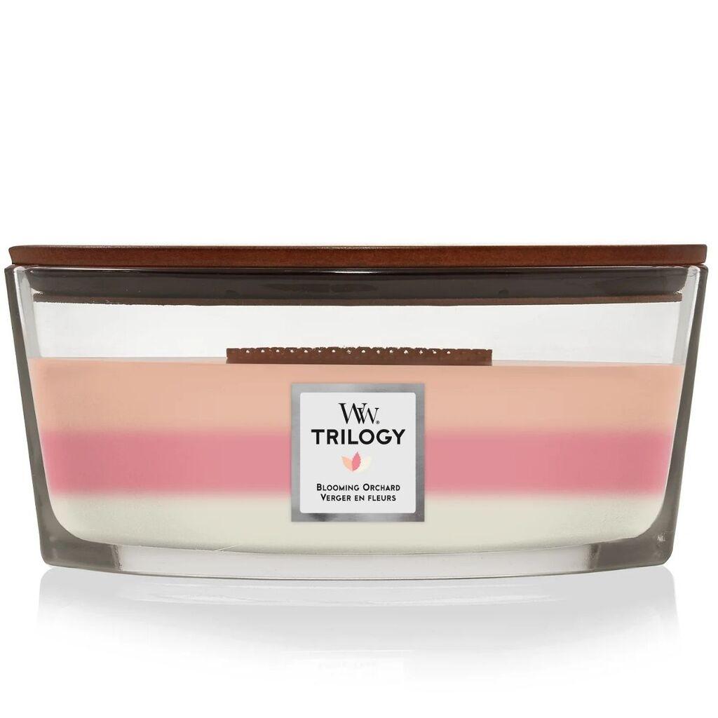WoodWick Mirišljava sveća Blooming Orchard Elipse Trilody, Šarena