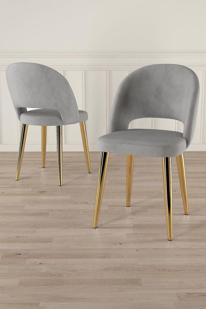 Hanah Home Set stolica Pane, 85x59x98 cm, 4 komada, Svetlosive