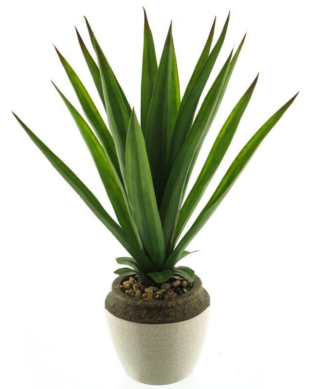 Dekor Dom Cvet u saksiji Aloe 46cm, Green, 51929-1