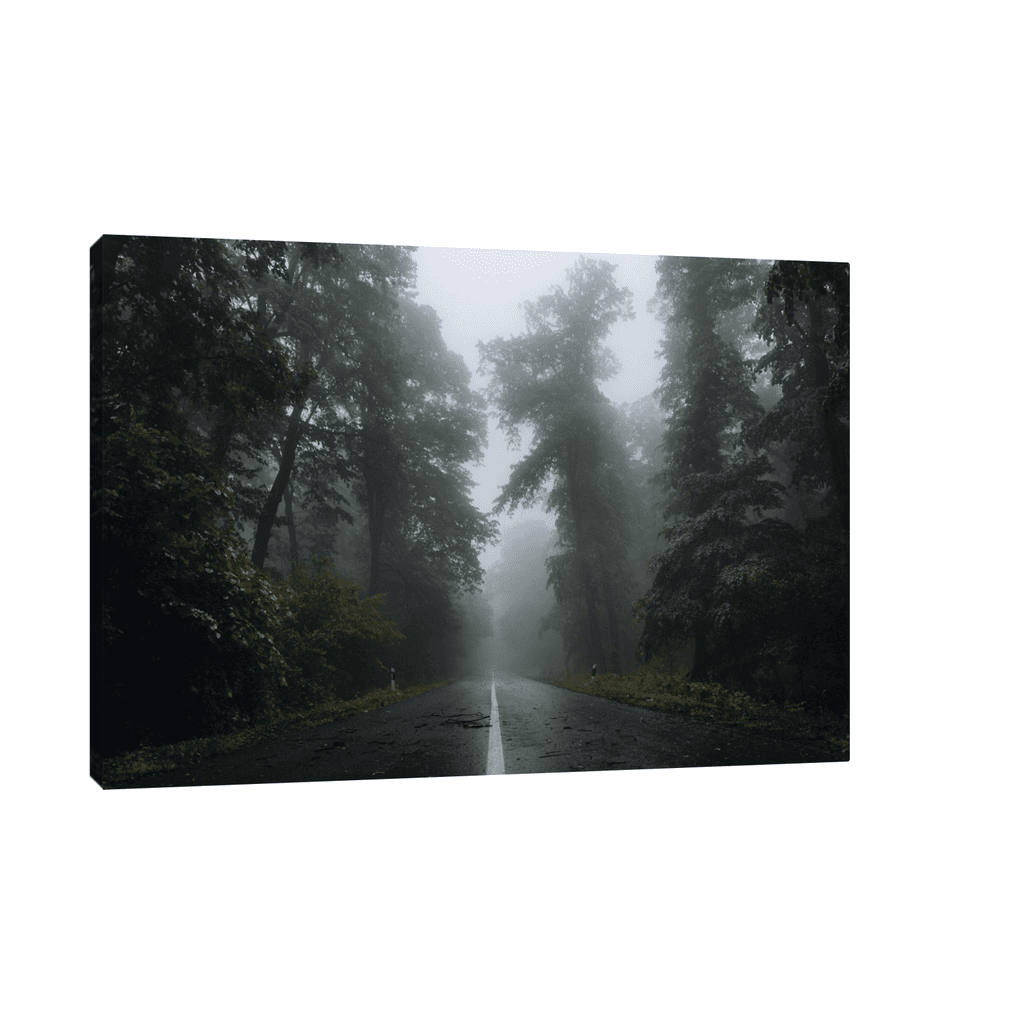 Canvas Slika na platnu Kroz šumu IV, Bez rama, 120x80cm