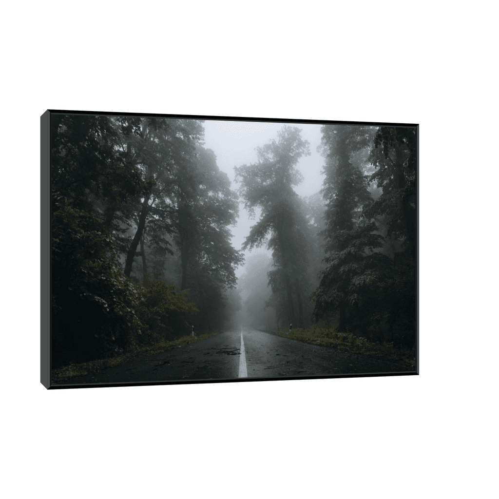 Canvas Slika na platnu Kroz šumu IV, 45x30cm, Sa ramom, Crni