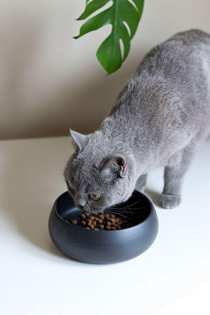 Aberto Design Činija za pse BSPT002, 14x6 cm, Siva